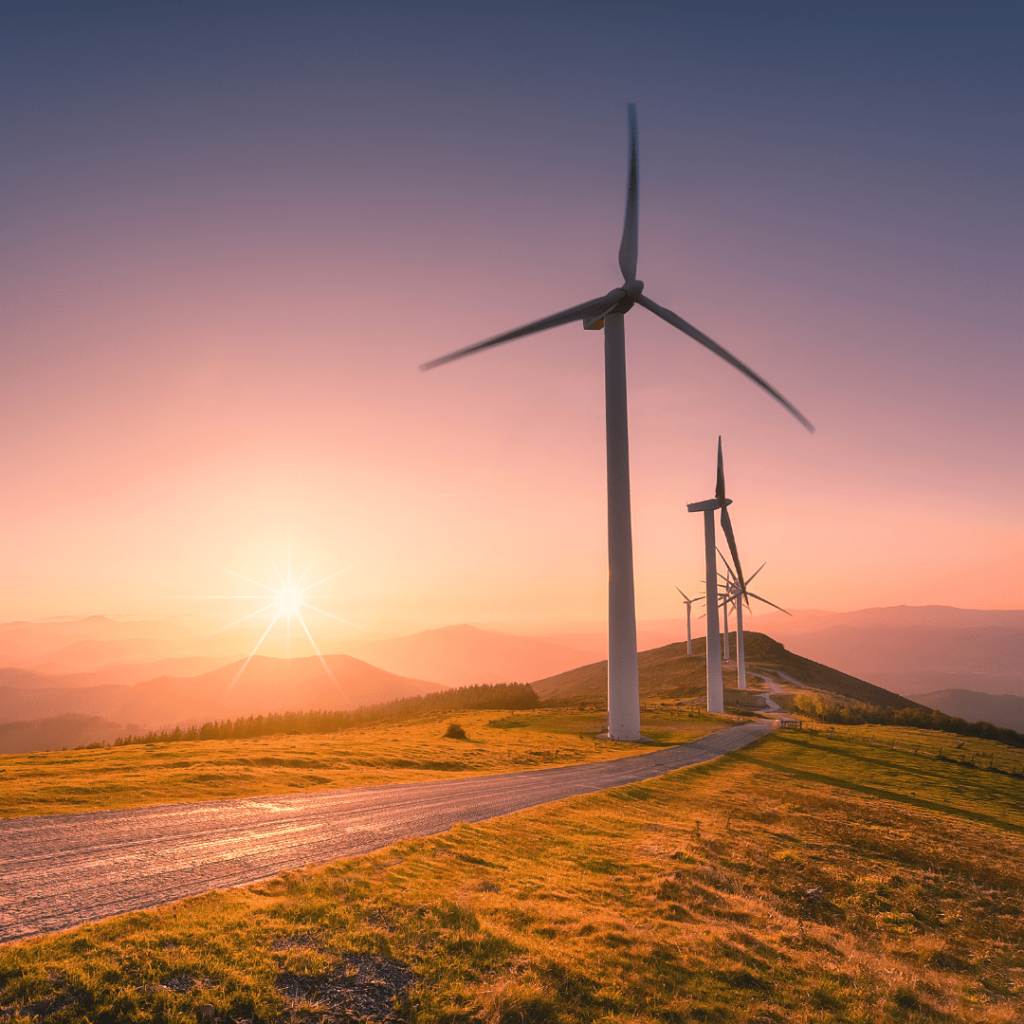 Renewable Energy Developer Australia